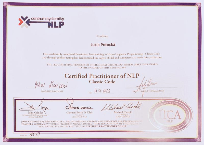 NLP Practitioner